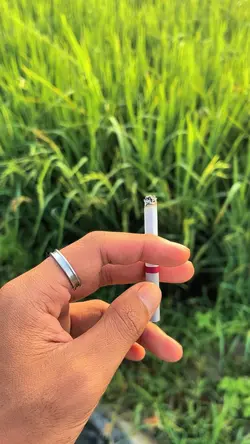 kau tempat berhibur 
