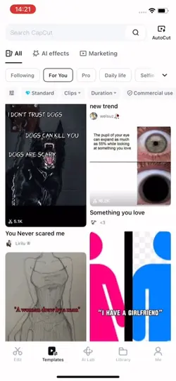 Cc creator tut 
