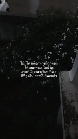 ข้อความ