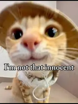 Im not that innocent