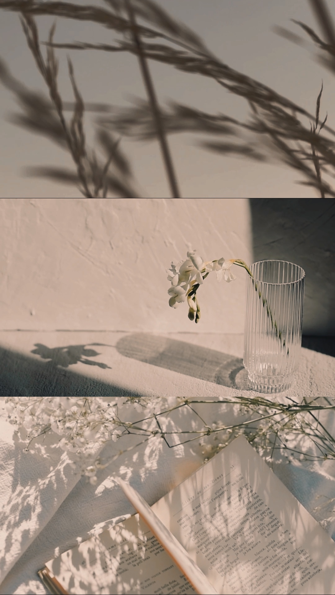 Süß wie eine Blume