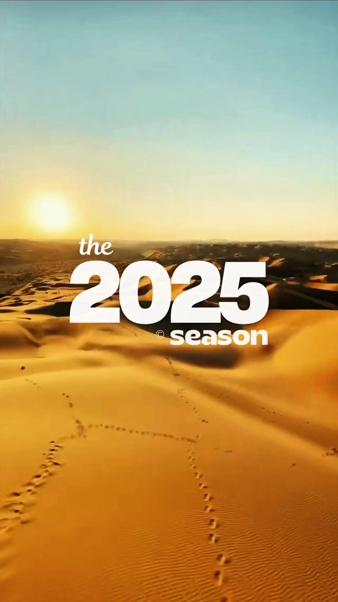 Volcado 2025