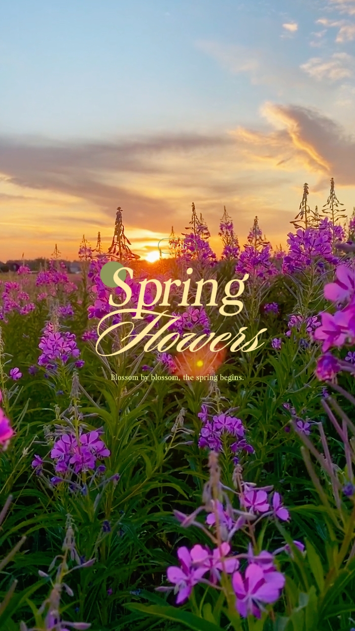 Hola primavera