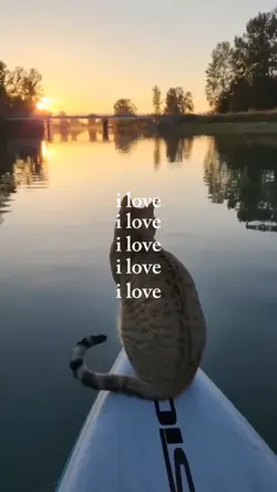 i love
