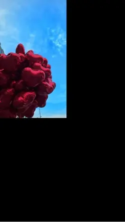 Sade müzik 