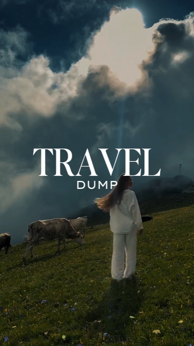 Travel Dump