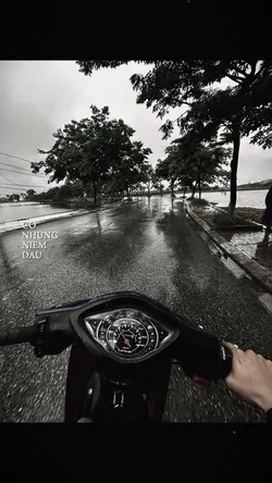 Có những niềm đau