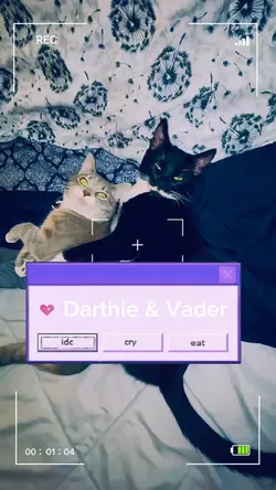 Darthie and Vader