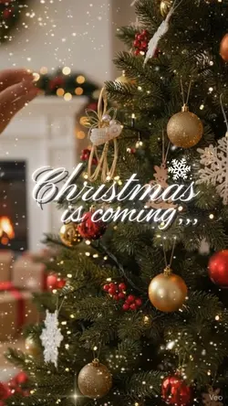 Christmas is coming