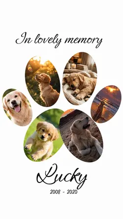 IN MEMORY PET
