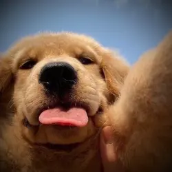 アライト風編集！