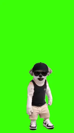 Cachorro/Dog.