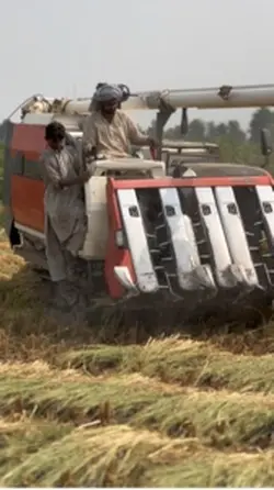 Main ty teri yad ny😔