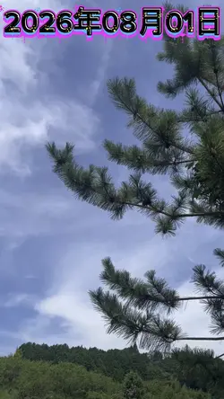 今日の天気