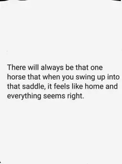 that one horse..
