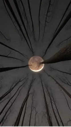 Richiamo Lunare