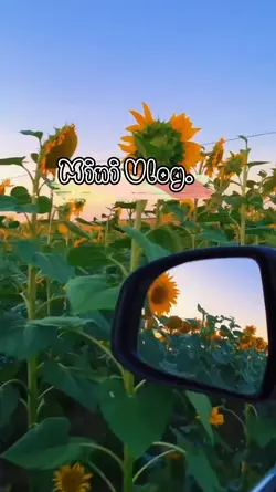 Mini Vlog