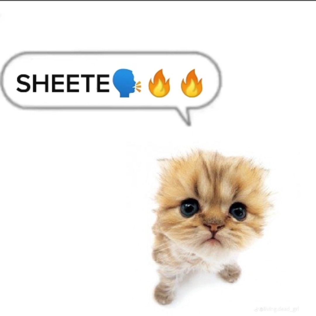 Don't give a shitee