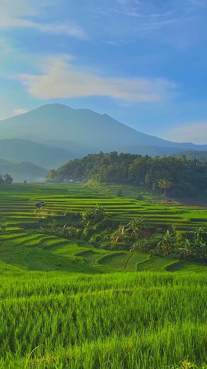 Bình yên 