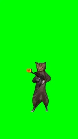 Cat Shooting Gun