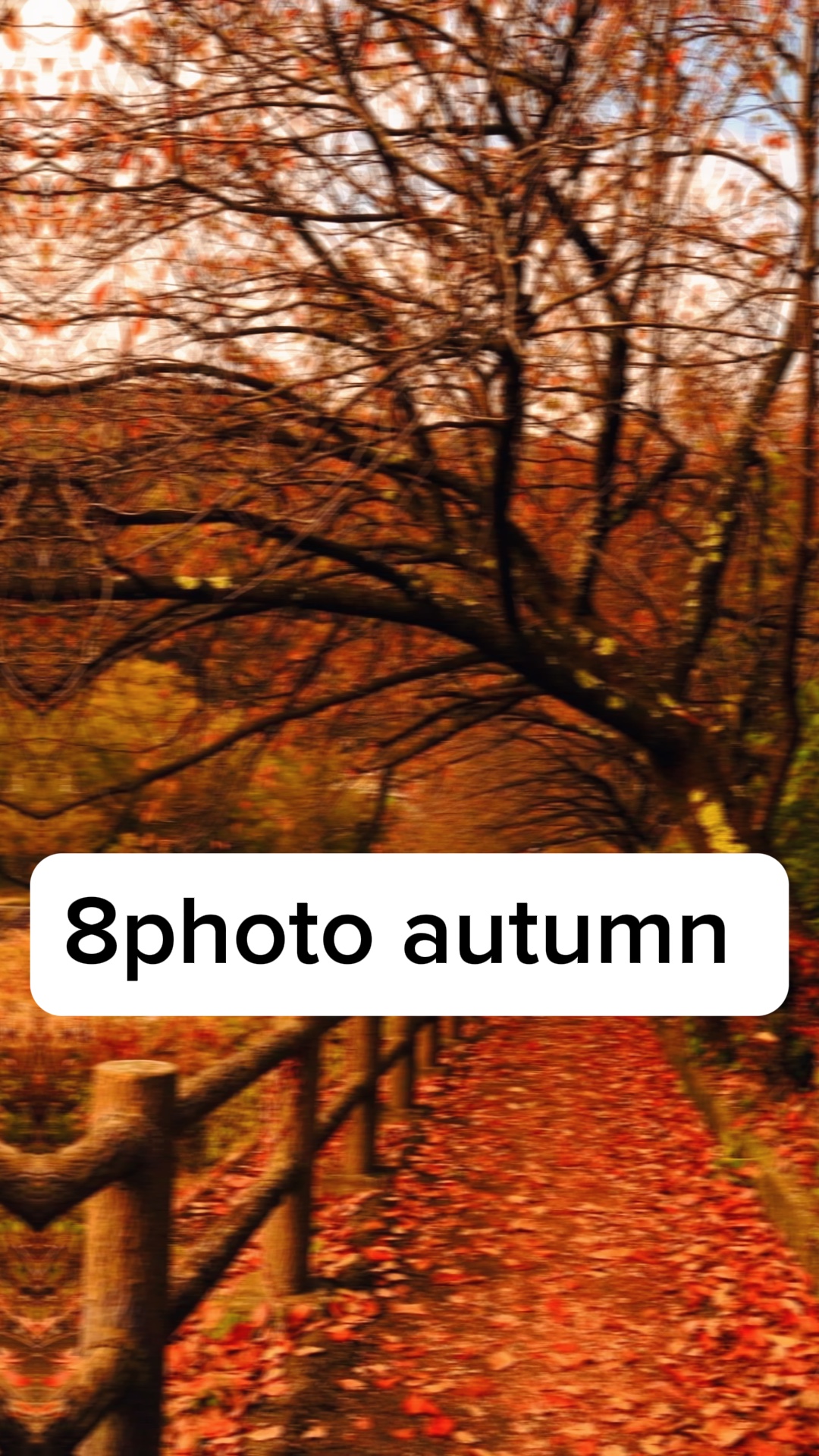 8 fotos de otoño 