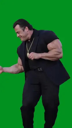 seagul van damme 