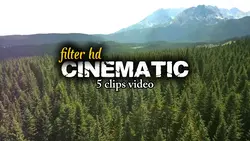 cinematic aesthetic