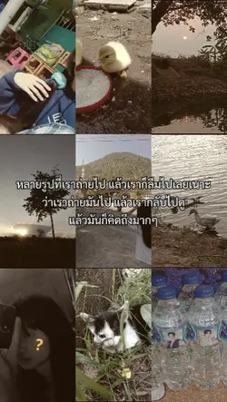 หลายรูปที่เราถ่ายไป