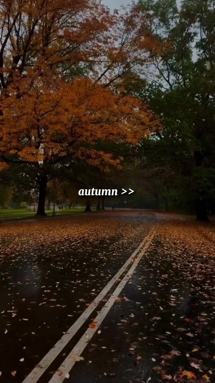 Herbstvorlage🍁🍂