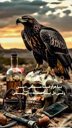 محمدین