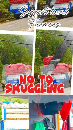 No smuggling awarene