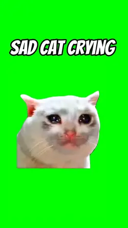 Sad cat crying