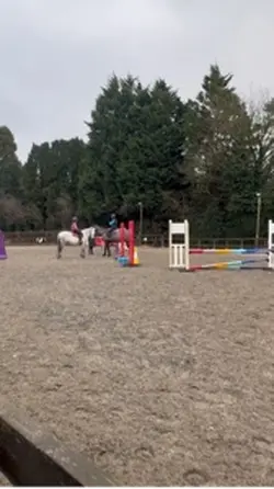 Say ur stupid line🥹