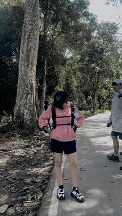 เดินป่า