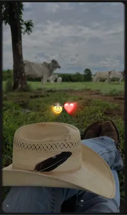Consejos gratis 🤠❤️