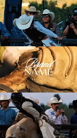 rodeio de boi