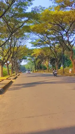 filter keren