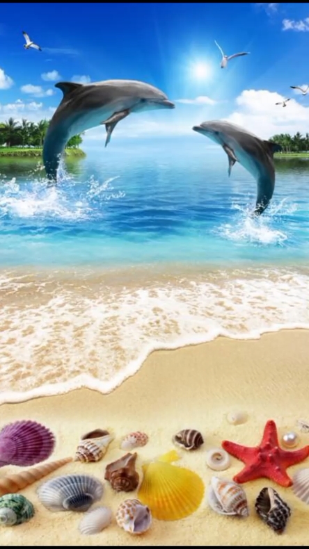 Vs golfinho 
