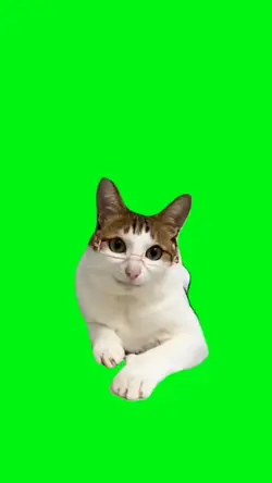 Clean Loop Edit