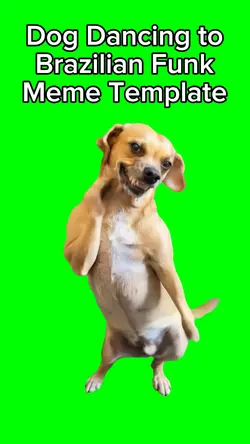 Dog Dancing meme