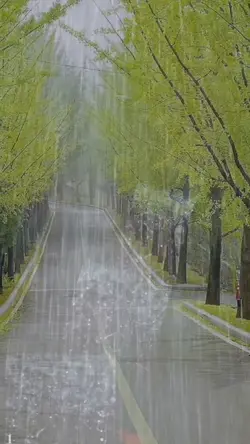 Rain fusion map