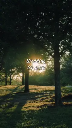 Wedding 60 detik
