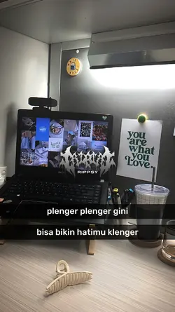 PLEMGER PLENGER GINI