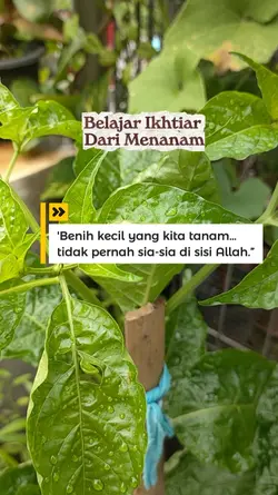 Ikhtiar dan menanam