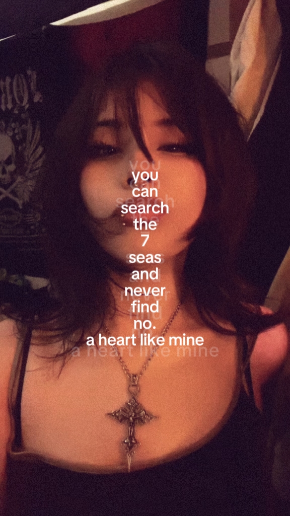 search the 7seas