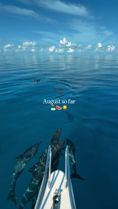 August so far 
