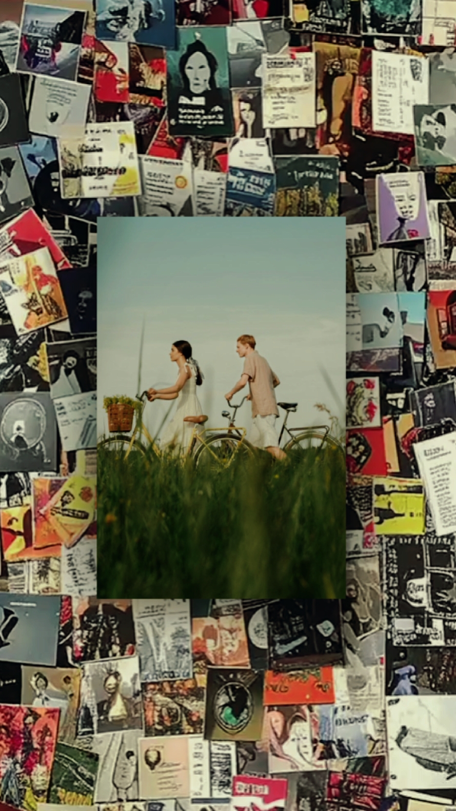Cover Picture