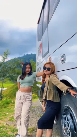 CINEMATIC•BUS