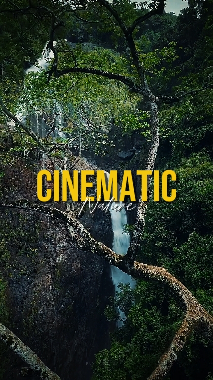 CINEMATIC NATURE