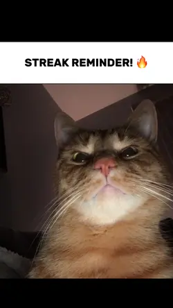 Streak reminder